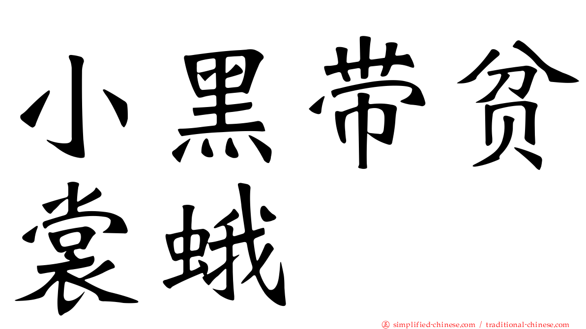 小黑带贫裳蛾