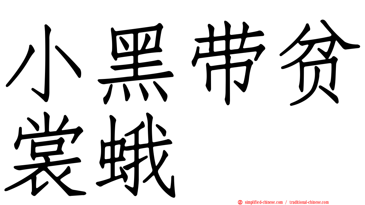 小黑带贫裳蛾