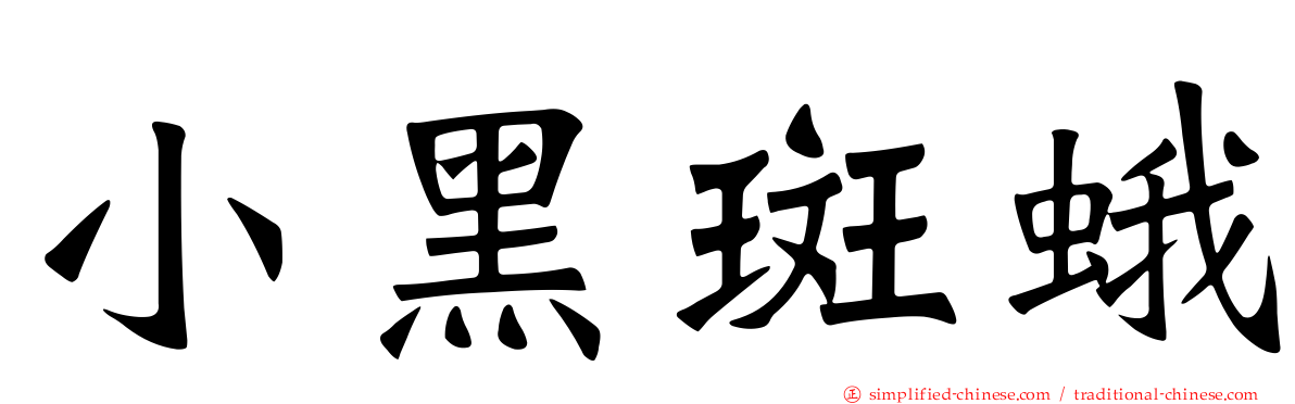 小黑斑蛾