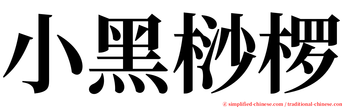 小黑桫椤 serif font