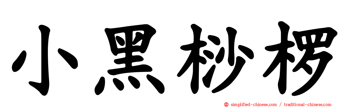 小黑桫椤