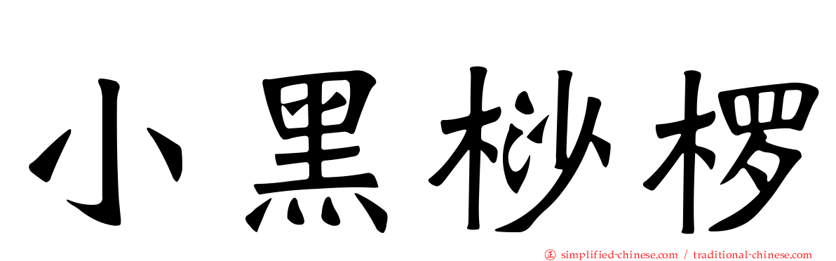 小黑桫椤