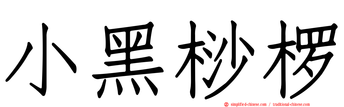 小黑桫椤