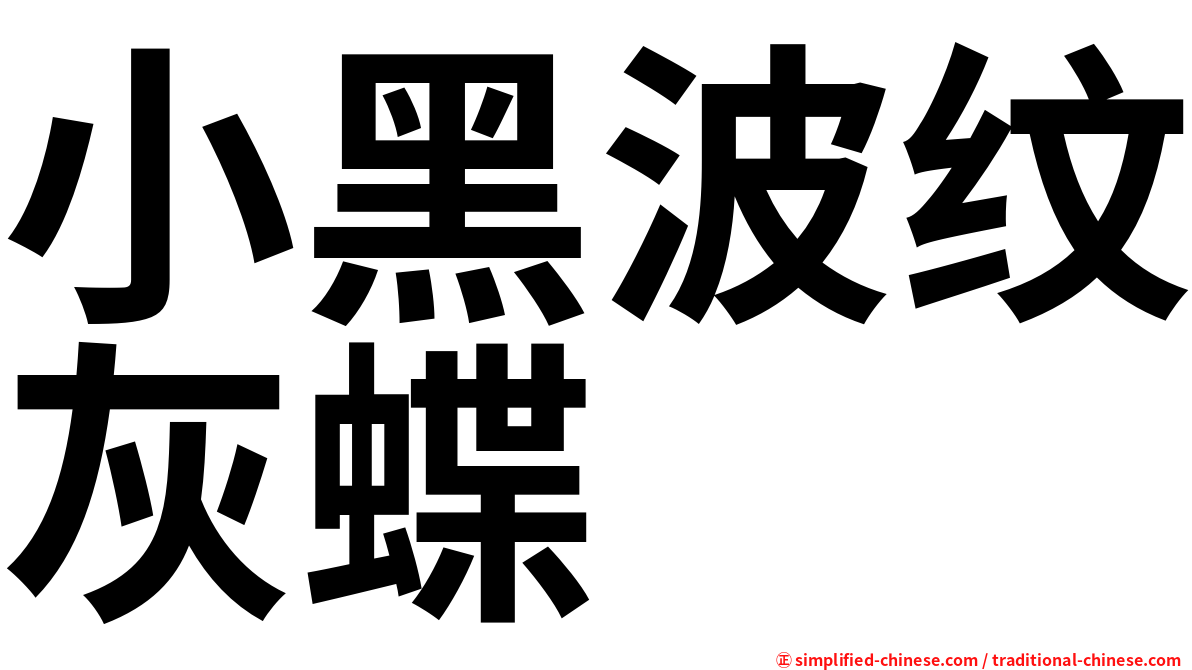小黑波纹灰蝶