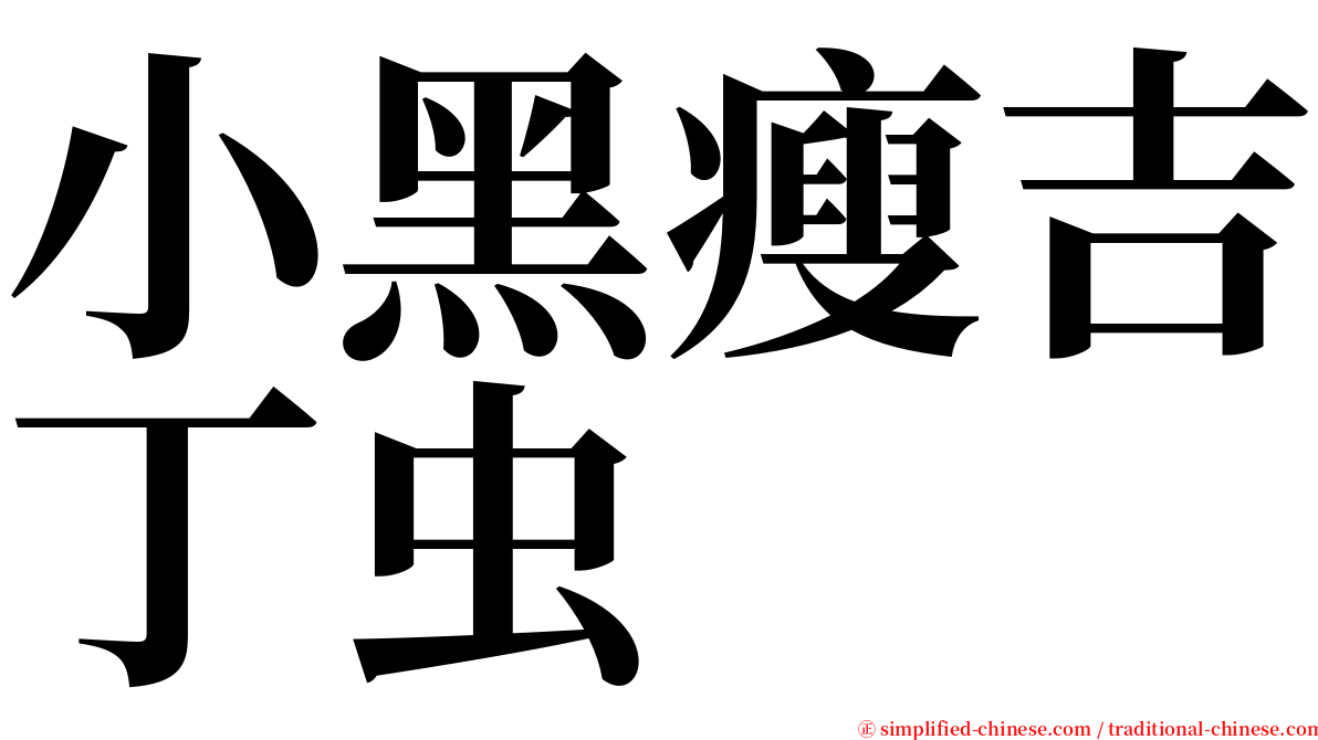 小黑瘦吉丁虫 serif font