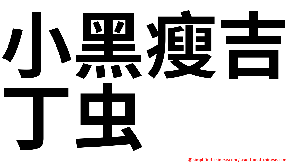 小黑瘦吉丁虫