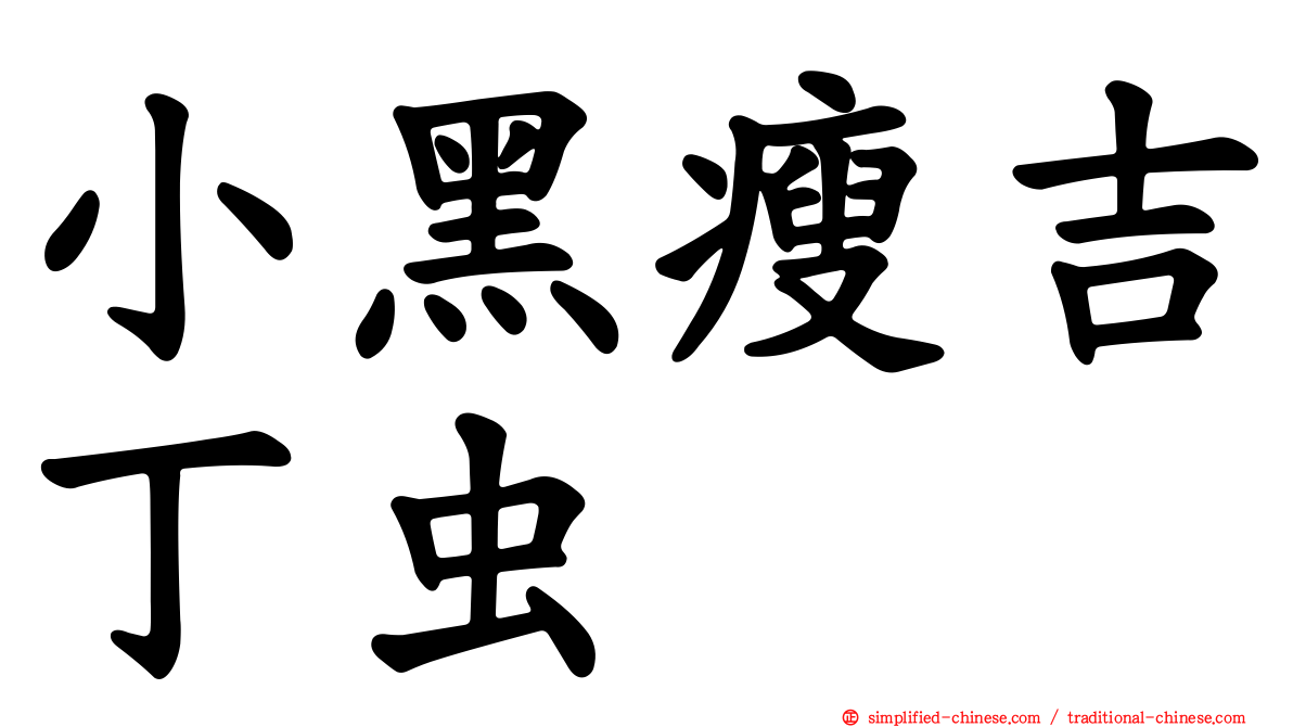 小黑瘦吉丁虫