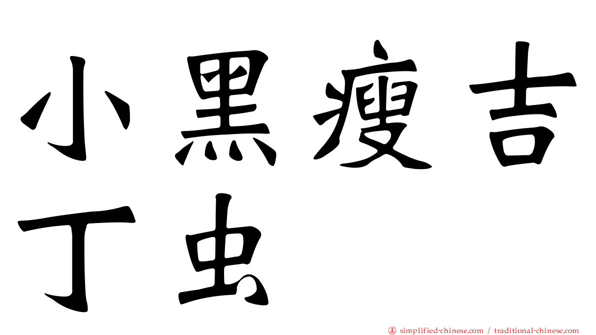 小黑瘦吉丁虫