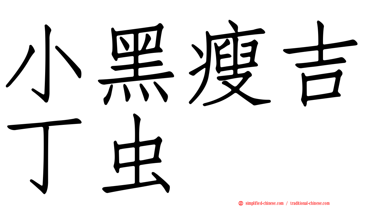 小黑瘦吉丁虫