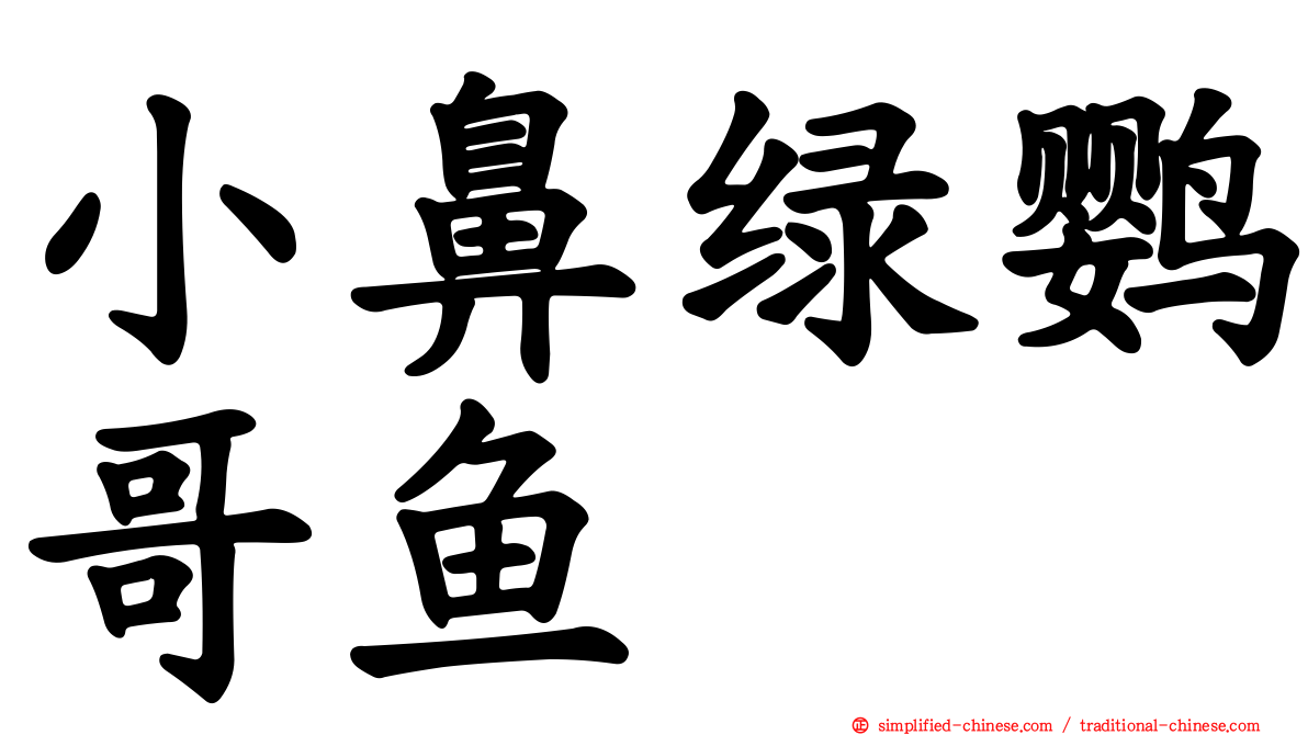 小鼻绿鹦哥鱼