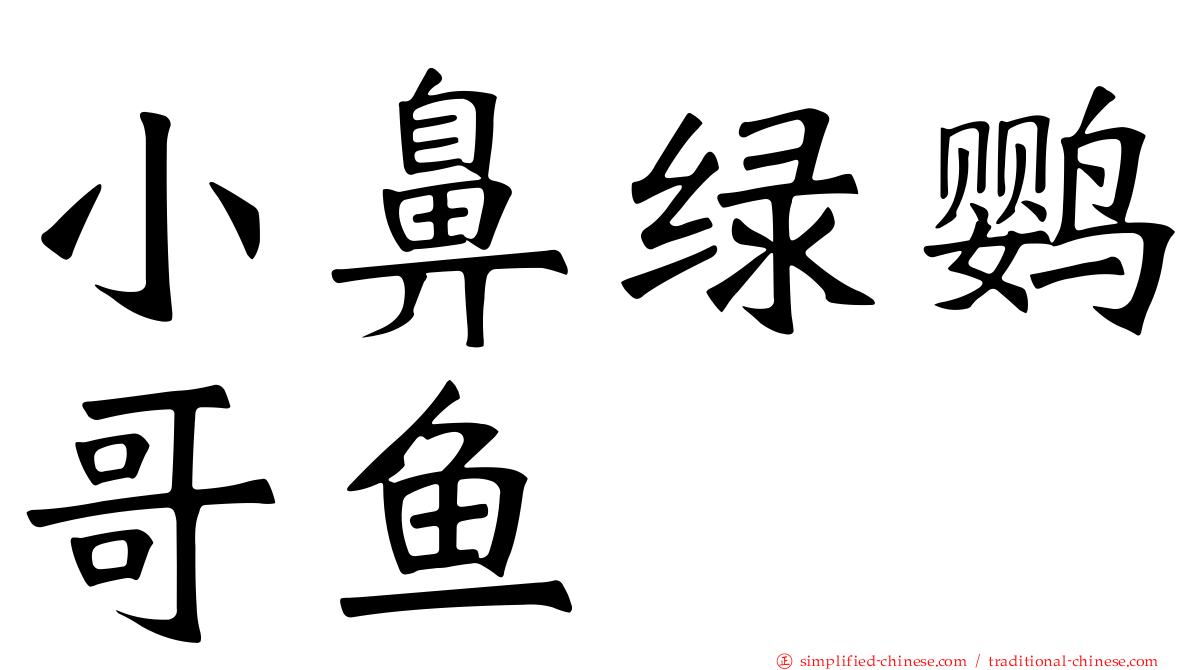 小鼻绿鹦哥鱼