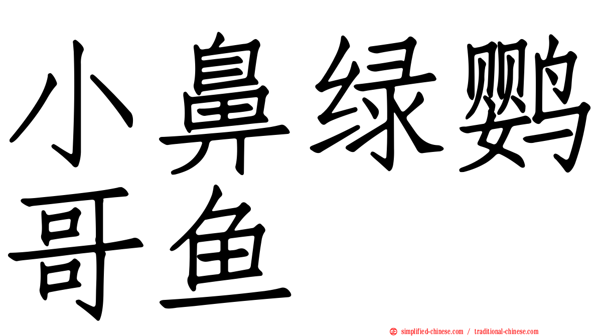 小鼻绿鹦哥鱼