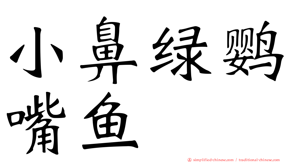 小鼻绿鹦嘴鱼
