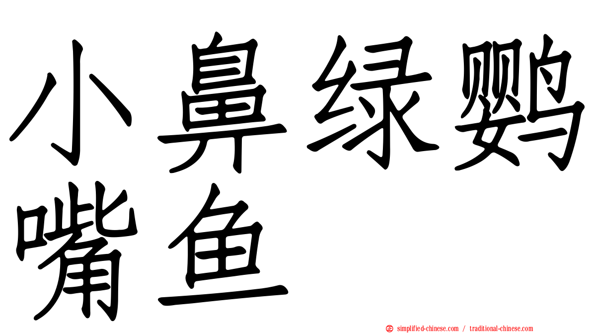 小鼻绿鹦嘴鱼