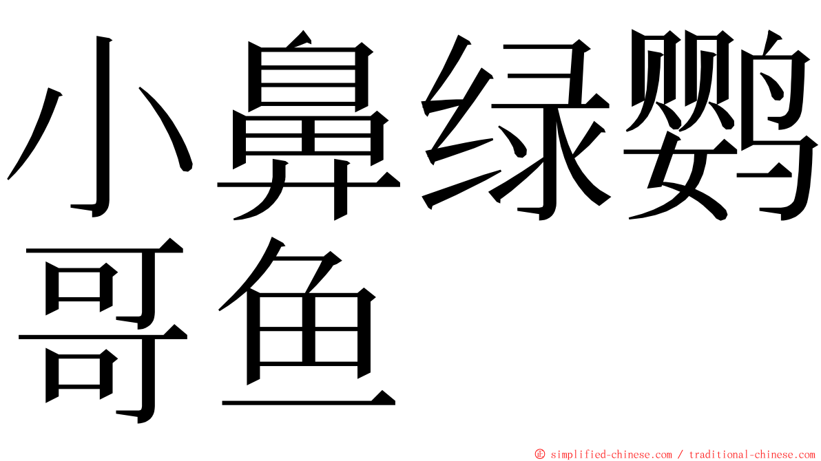 小鼻绿鹦哥鱼 ming font