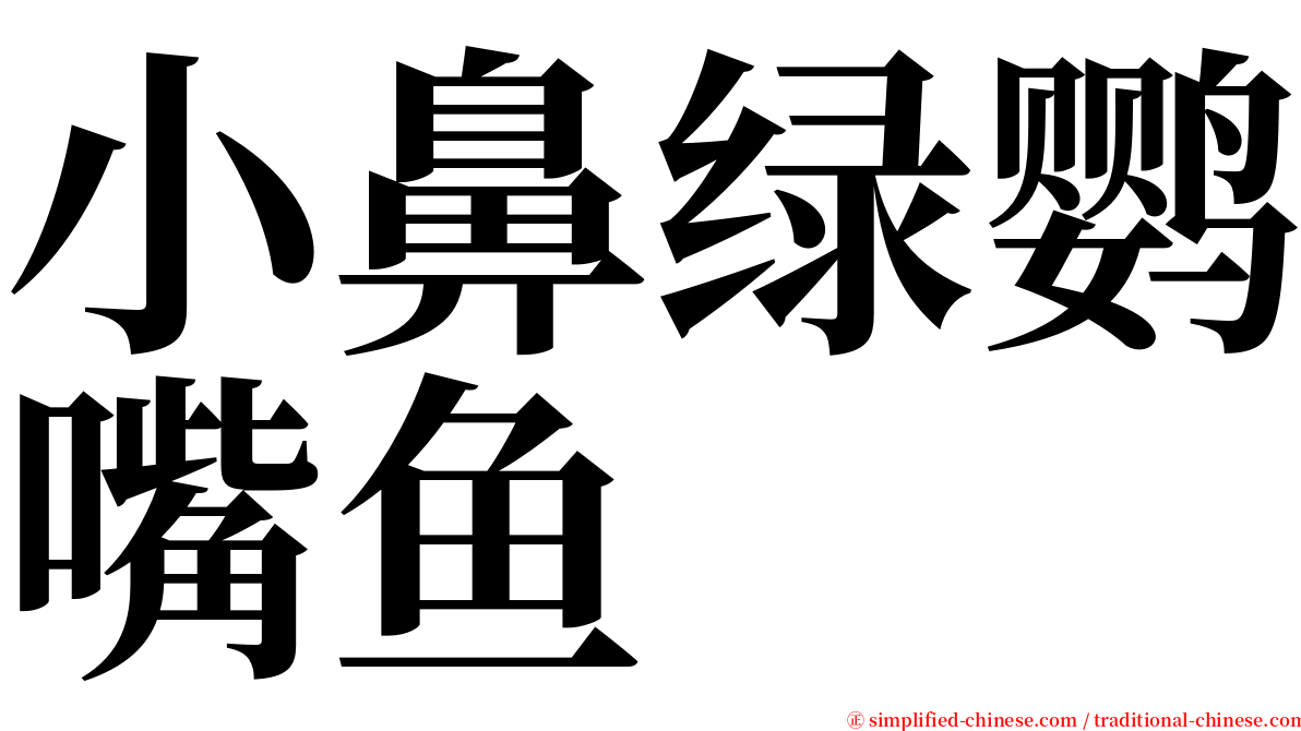 小鼻绿鹦嘴鱼 serif font