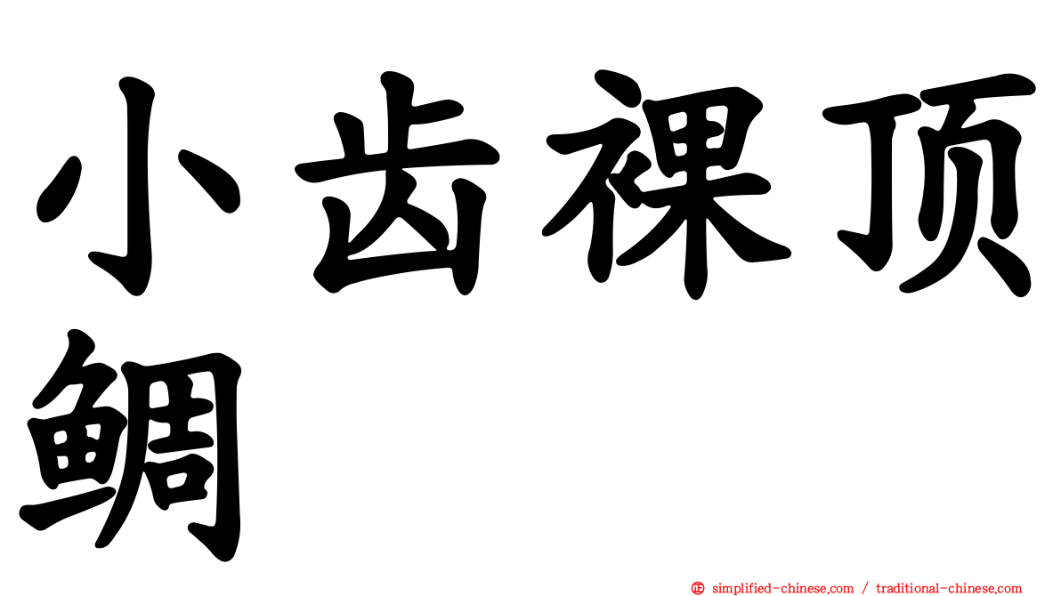 小齿裸顶鲷