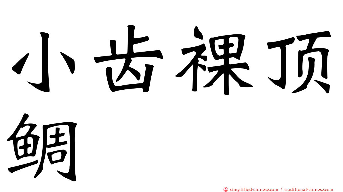 小齿裸顶鲷