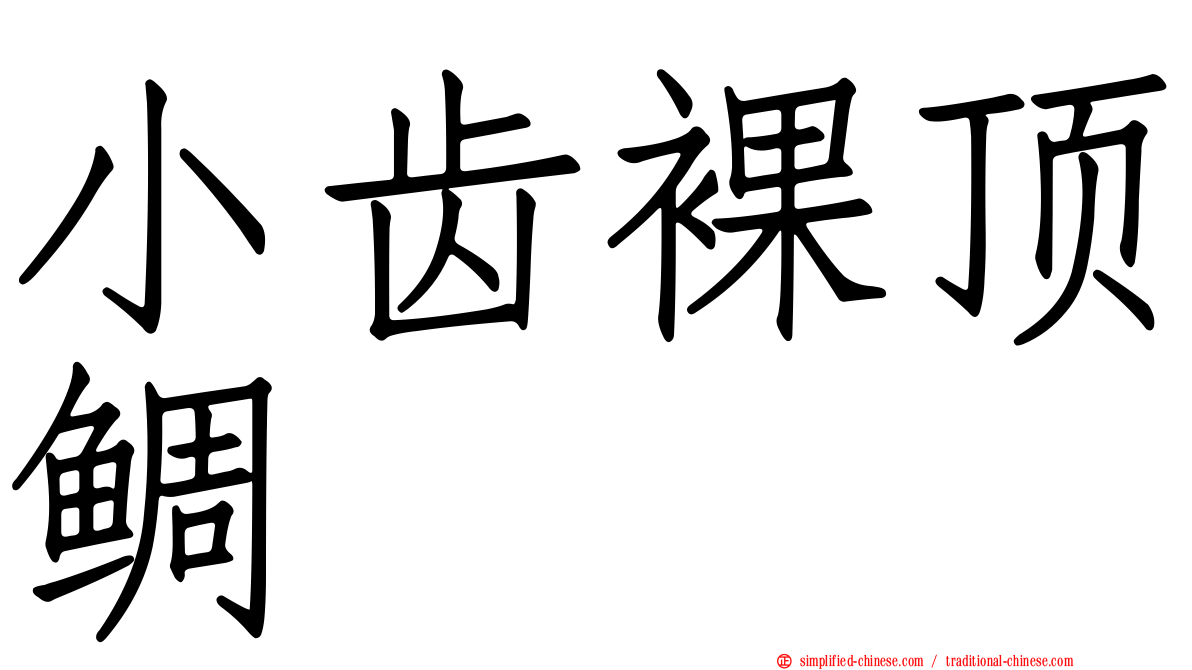 小齿裸顶鲷