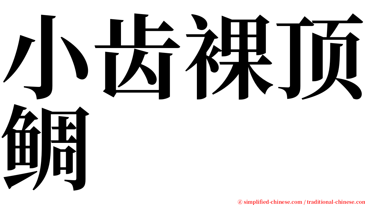 小齿裸顶鲷 serif font