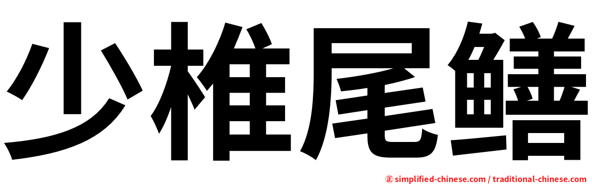 少椎尾鳝