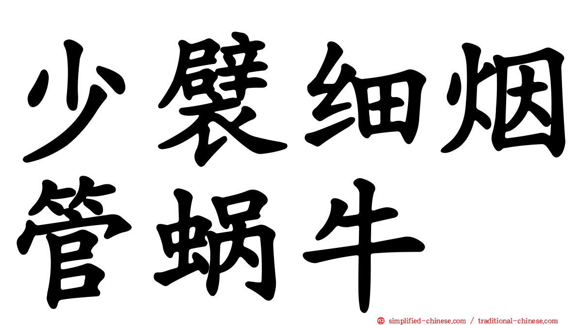 少襞细烟管蜗牛