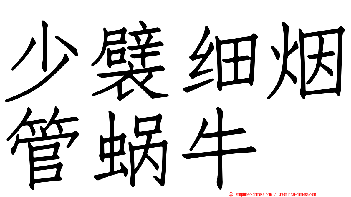 少襞细烟管蜗牛
