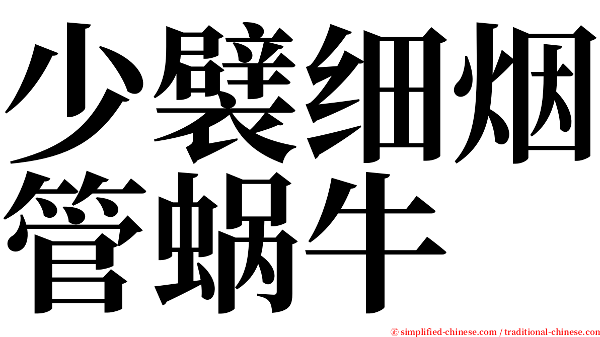 少襞细烟管蜗牛 serif font