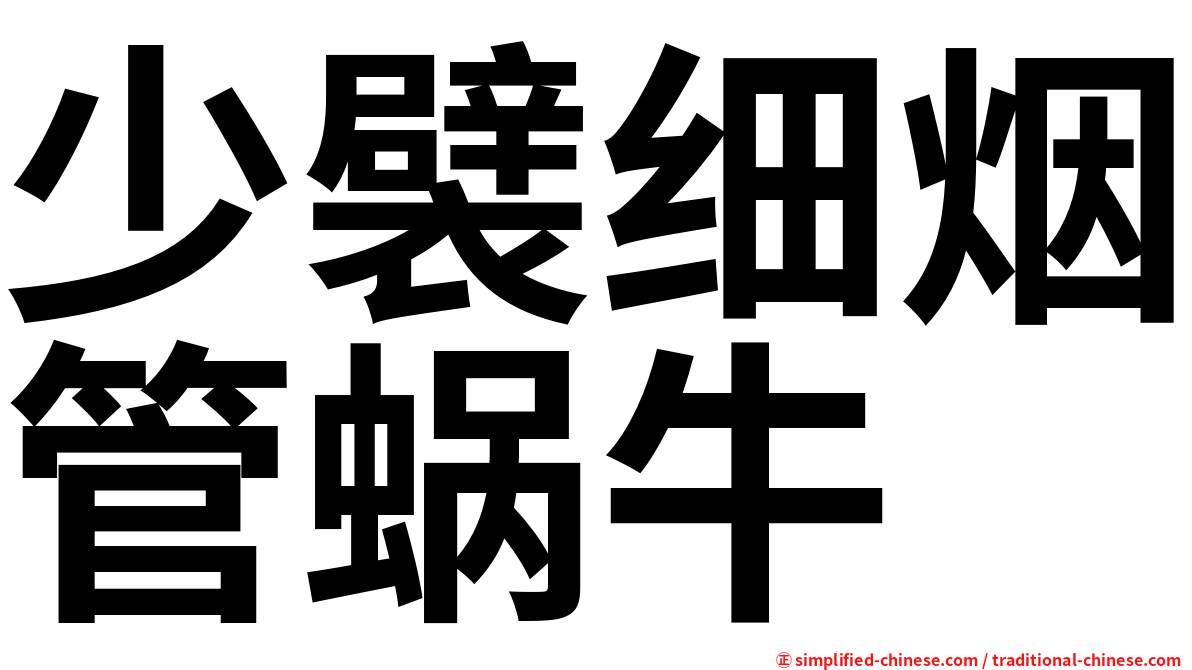 少襞细烟管蜗牛