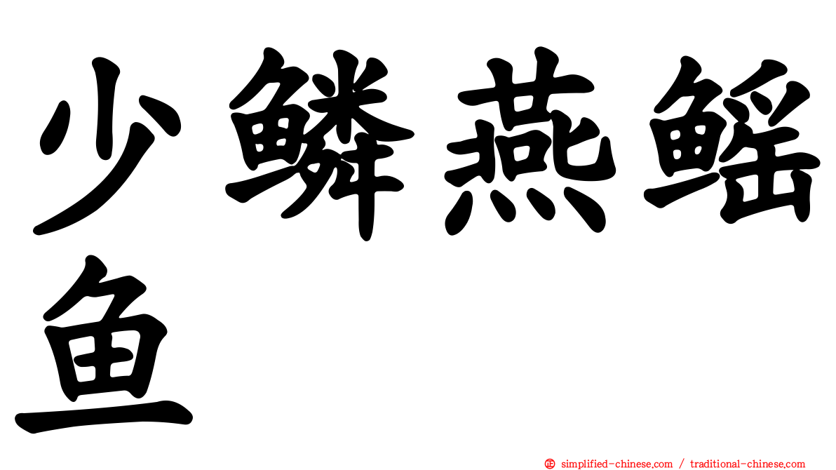 少鳞燕鳐鱼