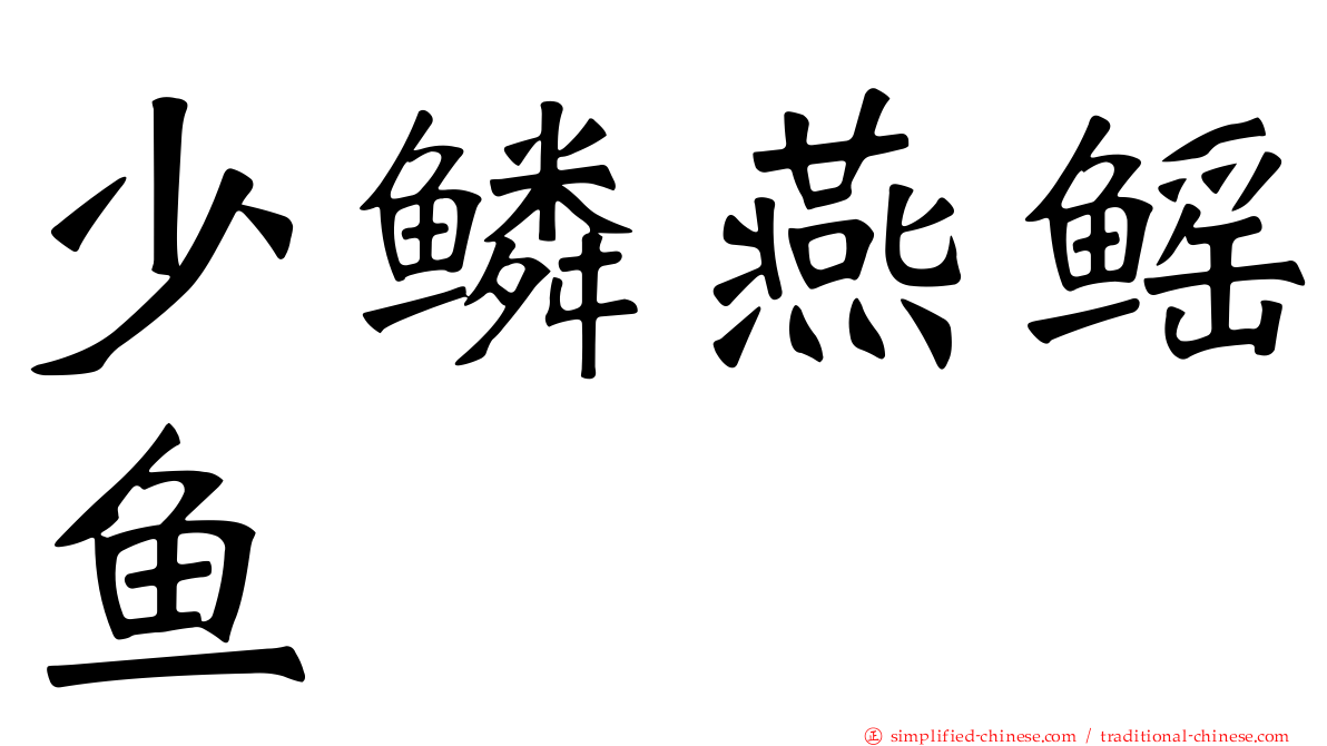 少鳞燕鳐鱼