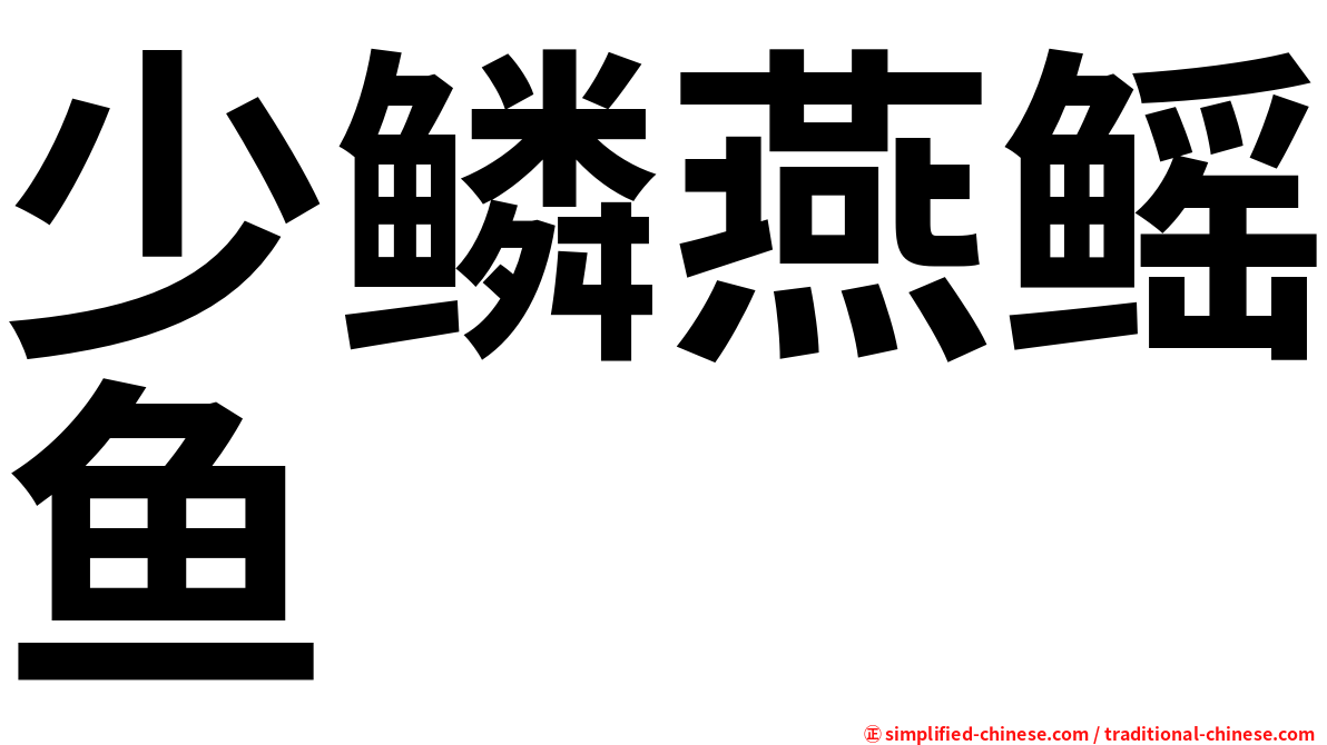 少鳞燕鳐鱼
