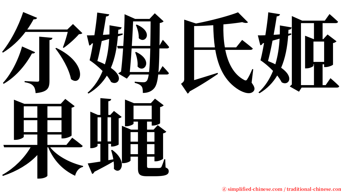 尔姆氏姬果蝇 serif font