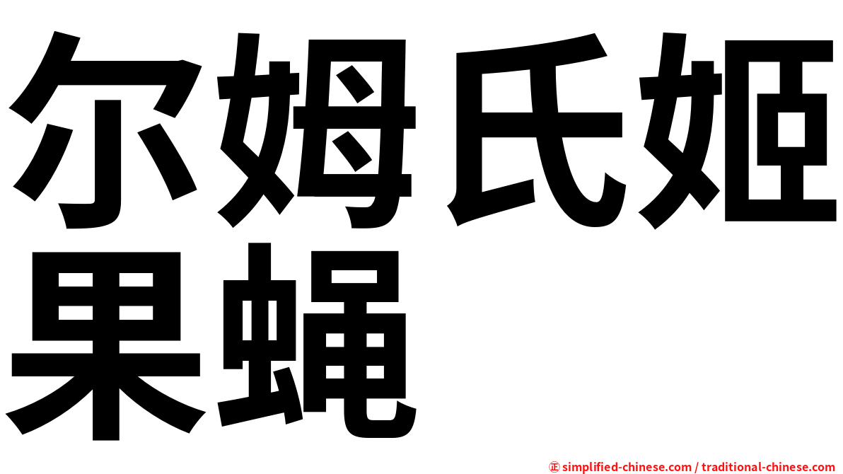 尔姆氏姬果蝇