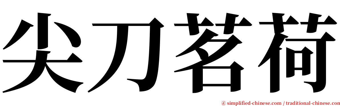 尖刀茗荷 serif font