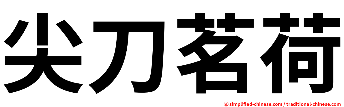 尖刀茗荷