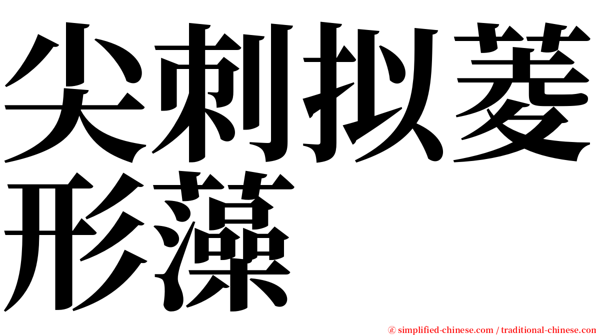 尖刺拟菱形藻 serif font