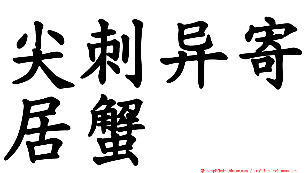 尖刺异寄居蟹