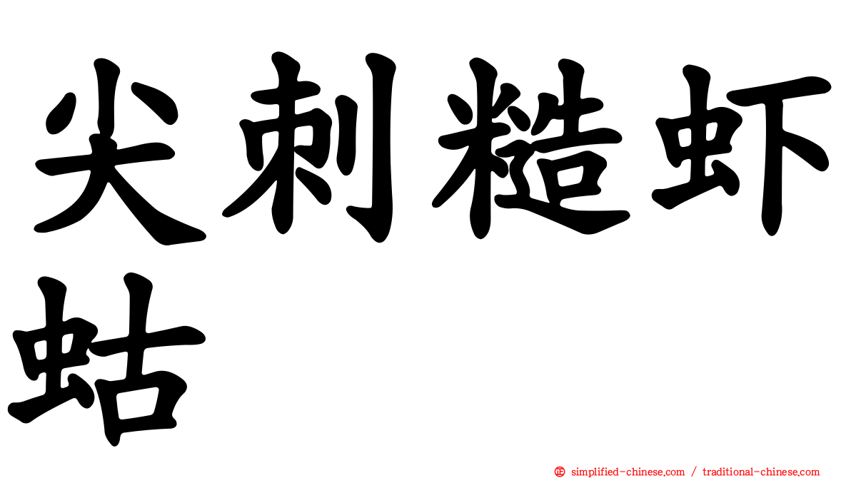 尖刺糙虾蛄