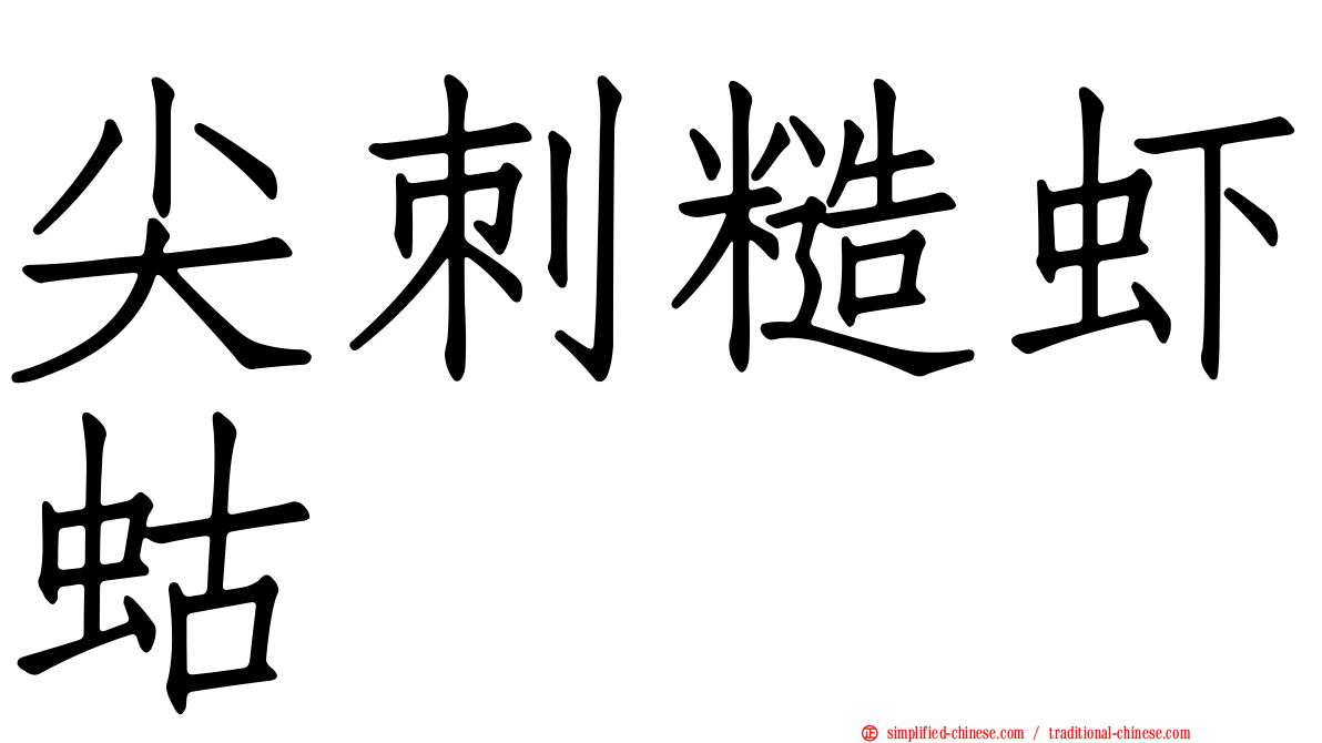 尖刺糙虾蛄