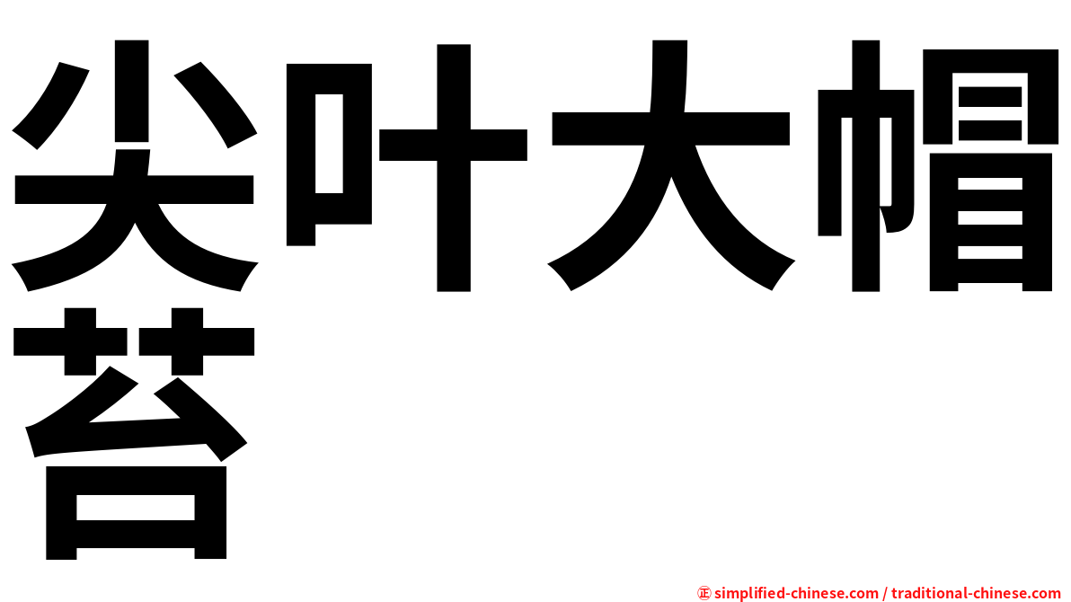 尖叶大帽苔