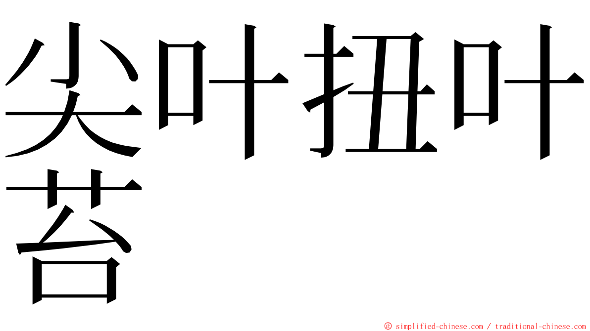 尖叶扭叶苔 ming font