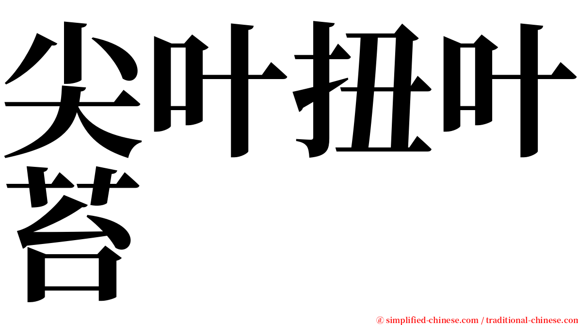 尖叶扭叶苔 serif font