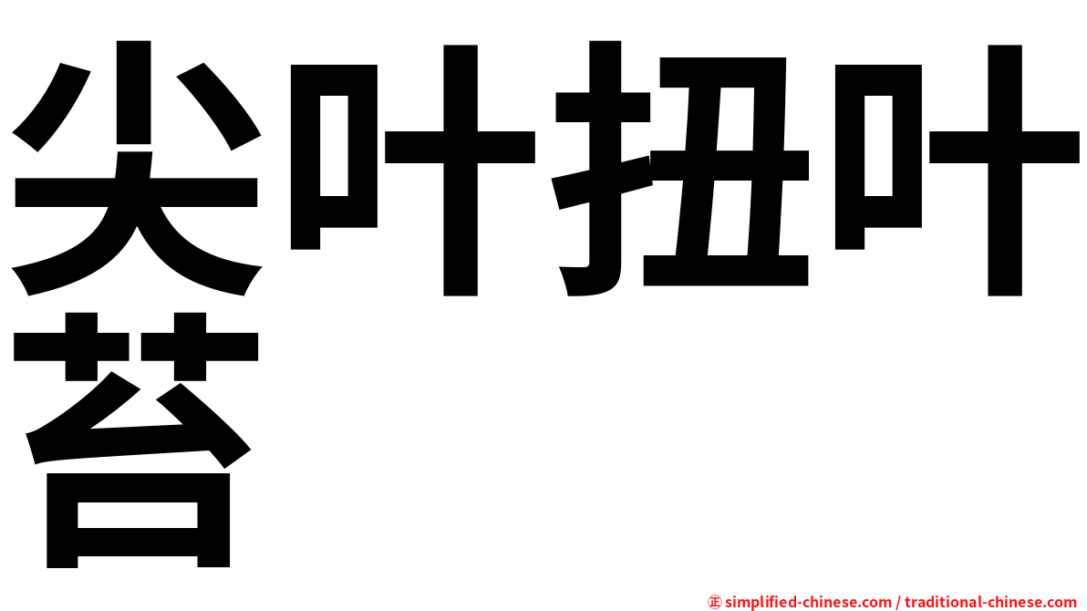 尖叶扭叶苔