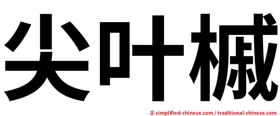 尖叶槭