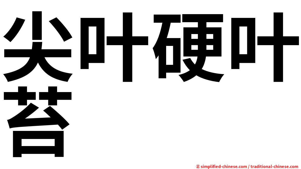 尖叶硬叶苔