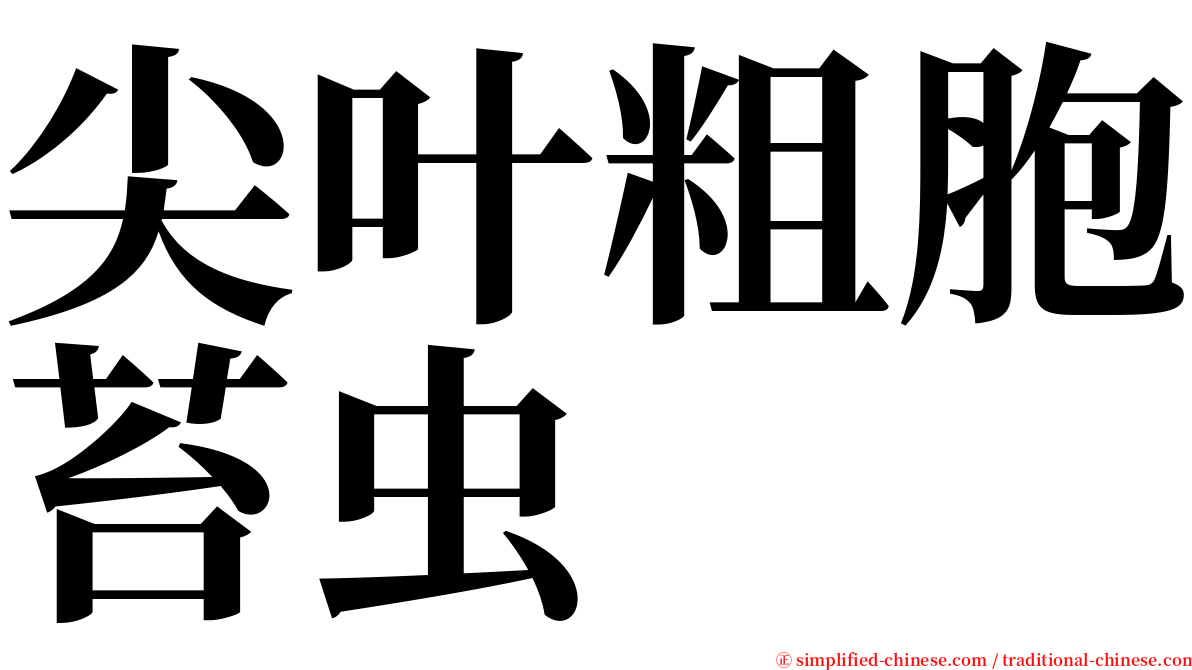 尖叶粗胞苔虫 serif font