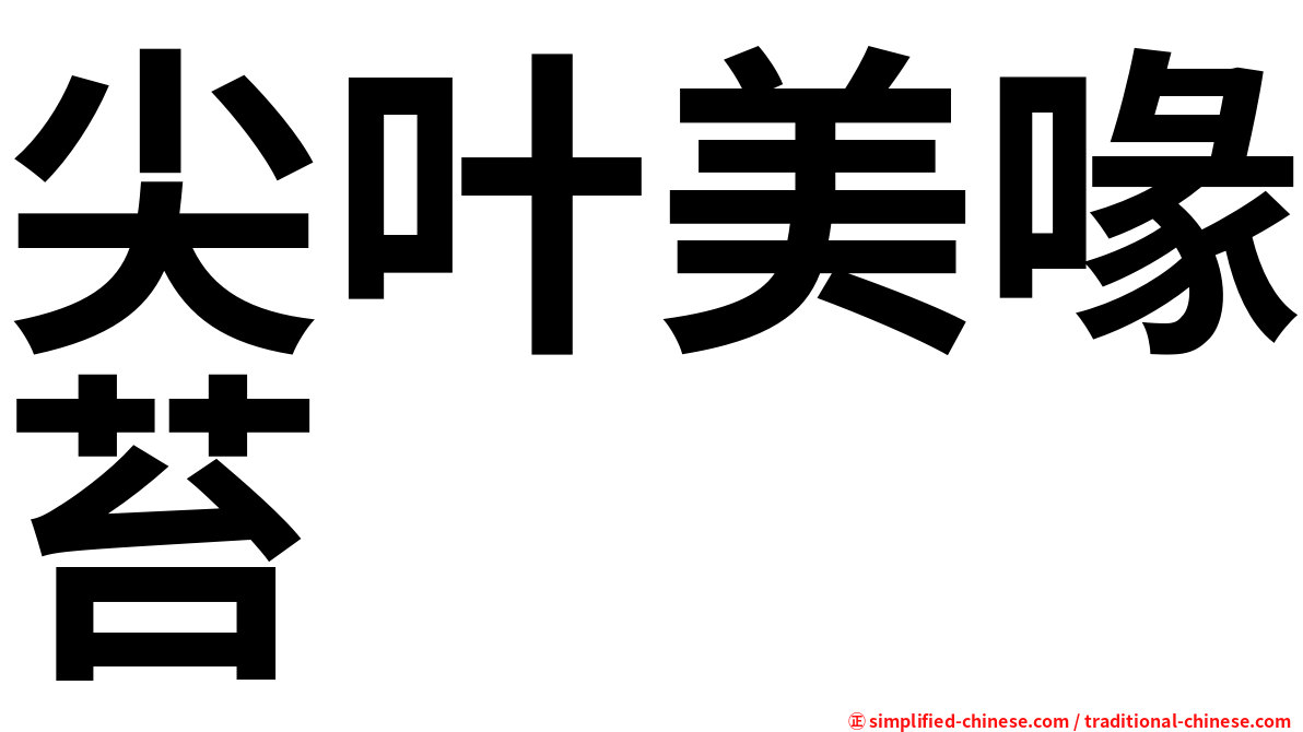 尖叶美喙苔
