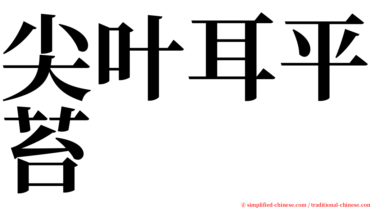 尖叶耳平苔 serif font