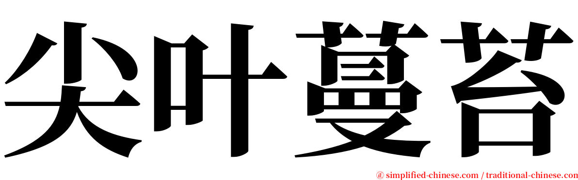 尖叶蔓苔 serif font